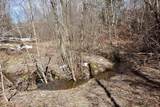 V/L 200th Avenue - Photo 29