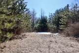 V/L 200th Avenue - Photo 34