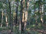  Caribou Trail - Photo 1