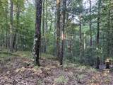  Caribou Trail - Photo 2