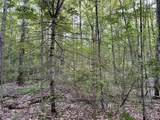 Caribou Trail - Photo 4
