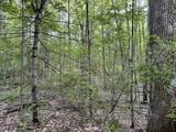  Caribou Trail - Photo 5