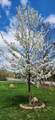 8471 45th Street - Photo 63