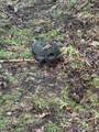  Hillsdale Road - Photo 15