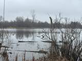  Hillsdale Road - Photo 3