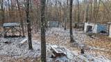 810 3 Mile Road - Photo 11