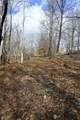 9828 Pontiac Trail - Photo 10