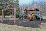 9828 Pontiac Trail - Photo 14