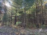 Parcel 1 County Line Road - Photo 3