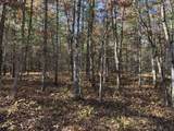 Parcel 2 County Line Road - Photo 5