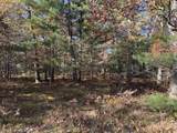 Parcel 3 County Line Road - Photo 3