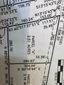 Parcel 4 County Line Road - Photo 2