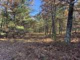 Parcel 4 County Line Road - Photo 3