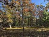 Parcel 4 County Line Road - Photo 4