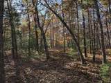 Parcel 5 County Line Road - Photo 3