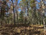 Parcel 5 County Line Road - Photo 6
