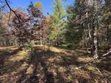 Parcel 6 County Line Road - Photo 3