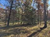 Parcel 7 County Line Road - Photo 3