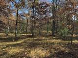 Parcel 7 County Line Road - Photo 4