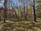 Parcel 8 County Line Road - Photo 3