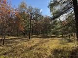 Parcel 8 County Line Road - Photo 4