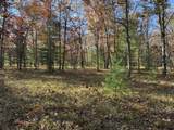 Parcel 8 County Line Road - Photo 6