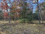 Parcel 13 County Line Road - Photo 5