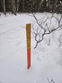 V/L 168th Avenue - Photo 2