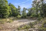 12487 Horseshoe Drive - Photo 12