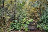  V/L Collier Ave Avenue - Photo 11