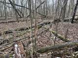 13048 Sullivan Road - Photo 26