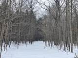 VL 17 9 Mile Road - Photo 15