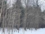 VL 17 9 Mile Road - Photo 18