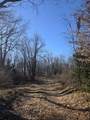  2 Mile Road - Photo 12