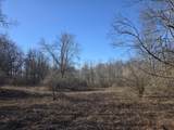  2 Mile Road - Photo 13