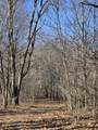  2 Mile Road - Photo 15