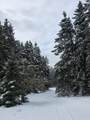  2 Mile Road - Photo 17