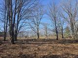  2 Mile Road - Photo 2