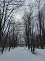  2 Mile Road - Photo 20