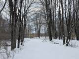  2 Mile Road - Photo 30