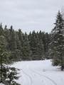  2 Mile Road - Photo 33