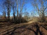  2 Mile Road - Photo 4