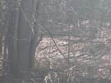 00 East Road - Photo 14