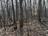 12952 Bowen Lake Drive - Photo 7