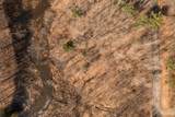 12952 Bowen Lake Drive - Photo 8