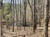 5243 Basswood Drive - Photo 4