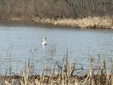 V/L 38th Street - Photo 8