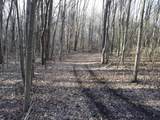  Vl E Dodge Rd - Photo 16