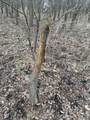  Portage Road - Photo 12