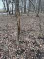  Portage Road - Photo 13